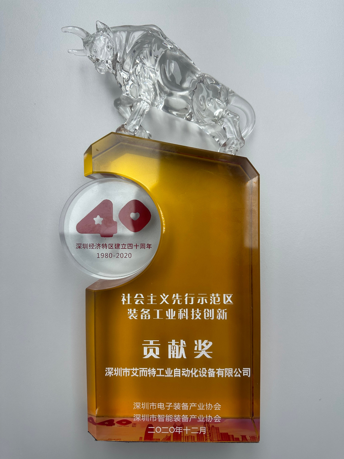 艾而特-2020年社会主义先行示范区贡献奖